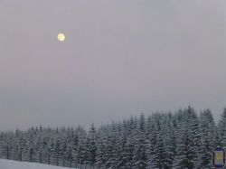 P1010260_2