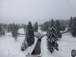 P1010431_2