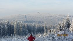IMG_4739_2